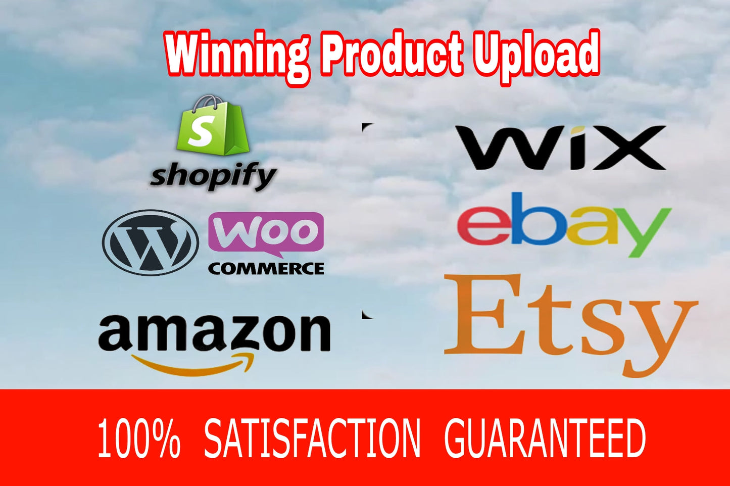 Build website, Store Design, Automated Dropshipping Store, Ecommerce Store, Reselling Shop, One Product Store, Pre Built Store